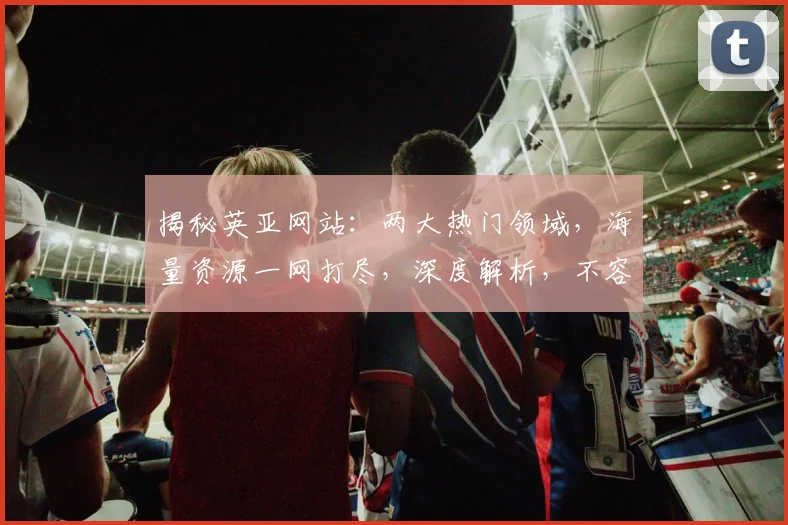 揭秘英亚网站：两大热门领域，海量资源一网打尽，深度解析，不容错过
